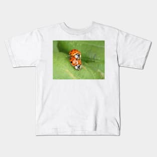 Harmonia axyridis - Asian ladybeetle - mating on a leaf Kids T-Shirt